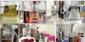 Máquina de destilación de Perfume para uso doméstico, aceites esenciales de flores de Geranium rosa, compra a mano - Product Image 4