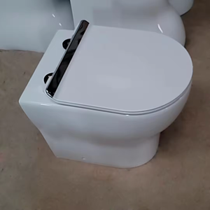 Set WC Monoblocco Smart Bidet con mobiletto, vaso WC in ceramica Filomura, prodotto sanitario europeo per bagno - Product Image 2