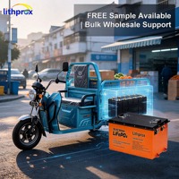 Batería de Litio Ferrofosfato (LiFePO4) de 38.4V 300AH para Silla de Ruedas Eléctrica, Ciclo Profundo, Salida Estable para Scooter para Discapacitados, CE FCC