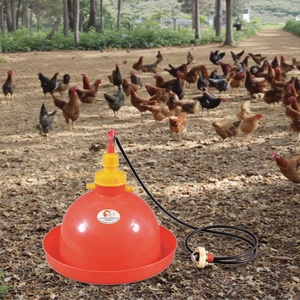 Nouvelle Abreuvoir Automatique Portable pour Poulets <span class=keywords><strong>Plasson</strong></span> Bell avec Matériel PP pour Utilisation à la Ferme - Product Image 2