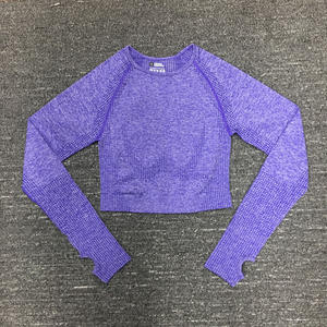 Conjunto Deportivo de Yoga, Suministro Directo de Fábrica, Ropa Deportiva de la Mejor Calidad, Top Corto sin Costuras - Product Image 1