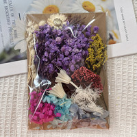 Natürlich Konservierte Gepresste Getrocknete Blumen und Pflanzen für Gemischte Packungen, Handwerk, Aromatherapie, Kerzen, Epoxidharz DIY-Zubehör