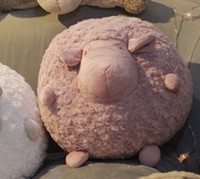 Jouet en peluche d'oreiller rond en forme de mouton coréen-Poupée en peluche Shirley en forme de mouton Giji, jouet de coussin en tissu doux, poupée bébé