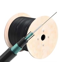 Cable de Fibra Óptica Monomodo GYXTW - 6B1 G652D para Exteriores, Aéreo/para Instalación en Ductos, Uniparalelo, 2 Hilos