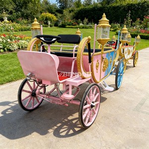 Crea el Puesto Fotográfico Más Popular en tu Lugar con una Carruaje de Princesa - Product Image 6