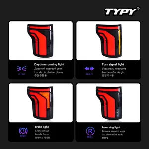 ไฟท้ายรถยนต์ TYPY รุ่นใหม่ สำหรับ F150 ปี 2015-2021 หลอดไฟ LED สำหรับรถยนต์ ไฟส่องสว่างเวลากลางวัน ไฟเลี้ยวแบบไดนามิก อุปกรณ์ตกแต่งรถยนต์ - Product Image 3