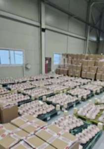 10001 यूनिसेक्स-वयस्क क्लोज के थोक मूल पैरा मजार अल पर मेयर ने कहा कि पुरुष महिला बच्चों के लिए पुरुषों की महिलाओं के लिए महिलाओं के लिए महिलाओं के लिए पुरुषों के लिए महिलाओं के जूते - Product Image 4