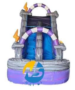 สไลเดอร์สีม่วงแบบมีสระน้ำพร้อมฟังก์ชั่นสายฟ้าสีม่วง สไลเดอร์เป่าลม Moonjump บ้านลมสำหรับเด็ก ขาย - Product Image 2