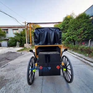 Carruajes de Caballos Europeos Negros Personalizados para Turismo y Eventos, Doble Fila, Elegantes Carruajes Tirados por Caballos para Bodas - Product Image 3