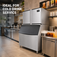 Macchina per Cubetti di Ghiaccio 680kg/24h, 220V/380V Opzionale, Design Igienico e Sterile per Fabbriche Alimentari, Fabbrica Bingxi
