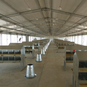 Thiết kế hiện đại prefab lợn trang trại nhà thép vật liệu trang trại lợn nhà Chăn nuôi nhà - Product Image 1