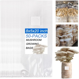 Sac de culture de champignons Shiitake <span class=keywords><strong>Kit</strong></span> de culture de champignons pour les ventes de l'usine - Product Image 3