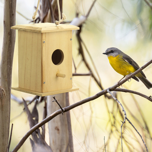 Nichoirs en bois pour oiseaux avec trou d'<span class=keywords><strong>entrée</strong></span>, protection métallique contre les prédateurs, loquet sécurisé, rainures pour jeunes oiseaux, nichoirs en cèdre pour passerois bleus à l'<span class=keywords><strong>extérieur</strong></span> - Product Image 6