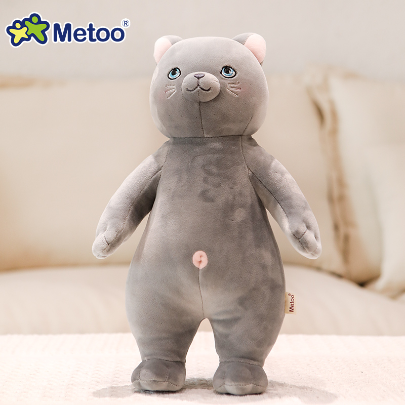 Gato corto británico