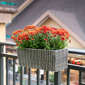 Bandes murales en rotin de style simple pour l'extérieur, disponibles en plusieurs couleurs, en plastique, idéales pour les pots de fleurs des personnes paresseuses - Product Image 5