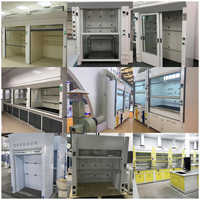 Hotte à fumées tout acier ASHRAE 110, hotte à fumées en acier PP, équipement de laboratoire, usine chimique, hotte d'extraction de fumées universitaire
