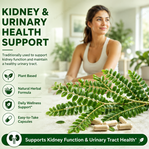Cápsulas de <span class=keywords><strong>Chanca</strong></span> <span class=keywords><strong>Piedra</strong></span> Natural OEM para el Cuidado Nutricional Diario de Adultos, Salud Renal - Product Image 2