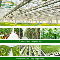 Serre agricole en verre, système hydroponique, tomate, laitue, fraise, fleurs, ferme intelligente, serre agricole complète