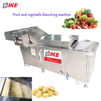Industriële grootschalige spiraalvormige blancheringsmachine voor aardappelen, kokosvlees, snoep, en zeevruchtenverwerkingslijn, capaciteit 2000 kg/uur