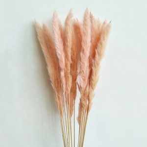 Wholesale 15-Stem <strong>Small</strong> Pampasgras <strong>Wreaths</strong> Hot Selling Natural Dry Flower Decorations for Wedding Home Valentine's Day Christmas - Product Image 4