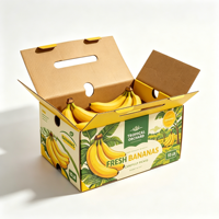 Carton ondulé en PP alvéolaire personnalisé, robuste, en B-flute, en matériaux recyclés, pour fruits, légumes, melon Hami, banane, raisin
