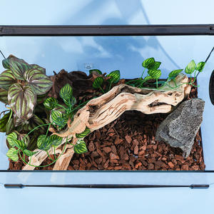 Wortelhout Landschap Drijfhout Natuurlijke Tak Voor Aquariumdecoratie Aquarium Drijfhout - Product Image 2
