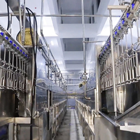 Machine automatique de pesage et de classement de poulets Raniche Machine de pesage et de triage de volailles en ligne