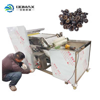 Machine à Trancher les Olives de Haute Qualité Machine à Couper pour les Olives Dattes Rouges