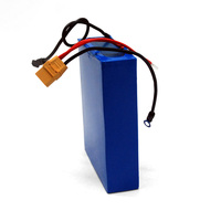 Batterie LiFePO4 12V 12Ah 15Ah avec BMS intégré, pulvérisateur électrique, tondeuse à gazon robotisée, outil de jardinage OEM