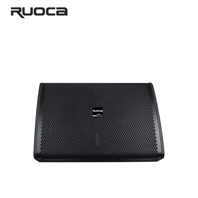 RUOCA Professional 12-Inch DJ Sound System Speaker TM-12 Passive Stage Echo Boombox with Miracast for Party Outdoor Performances