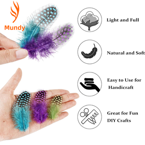 Plumas <span class=keywords><strong>de</strong></span> <span class=keywords><strong>Gallina</strong></span> <span class=keywords><strong>de</strong></span> <span class=keywords><strong>Guinea</strong></span> Teñidas <span class=keywords><strong>de</strong></span> 2-4 Pulgadas, Coloridas, Personalizadas, <span class=keywords><strong>de</strong></span> Excelente Calidad y <span class=keywords><strong>Precio</strong></span> Económico, para Decoración <span class=keywords><strong>de</strong></span> Fiestas - Product Image 4