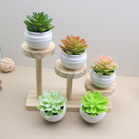 Mini Lotus Artificiel en Plastique en Gros pour Décoration de Table, Plante Imitation Succulente, Fleur Artificielle Verte, Bonsaï