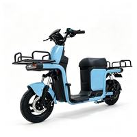 Vélo cargo électrique 800W 60V avec moteur de moyeu arrière, 3 vitesses, freins à disque avant et arrière, vélo de livraison de nourriture