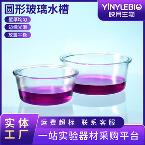 Recipiente de Vidrio para Laboratorio YINYUEBIO, 200mm 240mm 270mm 300mm, Resistente a Altas Temperaturas, Tanque de Limpieza Redondo Transparente - Product Image 5