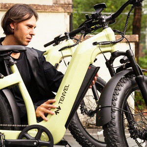 USA Warehouse 48v Emtb Moped Retro Hybrid Bike E-Bike Road Dirt E Ebike Mountain Fat Tire MS-1003 Down Tube Battery E-bike MS-10 - Product Image 4