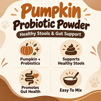 Poudre prébiotique et probiotique à la citrouille pour chiens et chats – Soutien digestif, selles saines, santé intestinale – Supplément personnalisé OEM