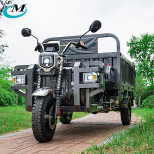 Motocicleta Eléctrica de Carga de Excelente Calidad, Triciclo Eléctrico de 3 <span class=keywords><strong>Ruedas</strong></span> <span class=keywords><strong>para</strong></span> Adultos, Triciclo Eléctrico, Triciclo Eléctrico de Tres <span class=keywords><strong>Ruedas</strong></span> - Product Image 1