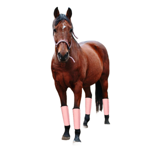 <span class=keywords><strong>Stivali</strong></span> da mosca professionale <span class=keywords><strong>per</strong></span> cavalli con attacchi <span class=keywords><strong>per</strong></span> gambe di <span class=keywords><strong>cavallo</strong></span> <span class=keywords><strong>stivali</strong></span> da volo in rete traspirante con fasce <span class=keywords><strong>per</strong></span> gambe di cavalli - Product Image 3