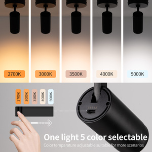 โคมไฟเพดานสปอตไลท์ <span class=keywords><strong>LED</strong></span> ในอาคารที่ทันสมัย5สีปรับโฟกัสได้15 °-45 ° สำหรับห้องและทางเดินแกลเลอรี่ - Product Image 5