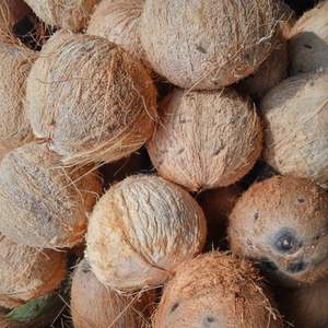 Approvisionnement direct de la ferme de viande sucrée de noix de coco Semi Husk - Product Image 1