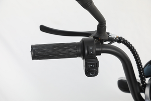 N° 1 du classement des meilleures ventes annuelles pour les vélos <span class=keywords><strong>électrique</strong></span>s. Volume d'exportation cumulé de 100 000 unités - Product Image 5