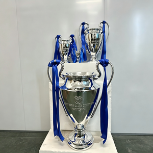 Trofeo Campione di Calcio Personalizzato Modello 2026, Multiformato, OEM/ODM per Campionati Calcistici Globali e Premi Sportivi - Product Image 3