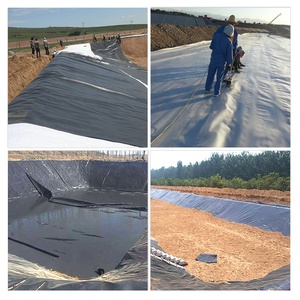 Geomembrana HDPE para acuicultura, precio de Geomembrana, represa de depósito, minería, revestimiento para estanque de peces, venta al por mayor - Product Image 6