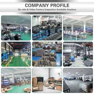 Pompe de surpression <span class=keywords><strong>Kaspar</strong></span> 250 m³/h + Pompe à vide rotative à palettes 100 m³/h (Modèle VJP250+VR100) OEM pour applications industrielles sous vide poussé - Product Image 6