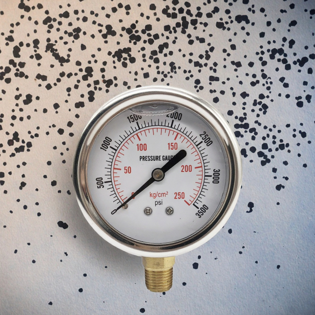 Godeson GM03SL-R High Quality Brass Bourdon Tube Gauge Premium Oil Pressure Bar Gauge with Stainless Steel Case -30psi 6000psi