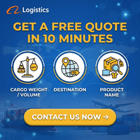 Transitaire maritime professionnel Chine-Europe |   Agent maritime FCL DDU fiable, solutions logistiques mondiales 20GP/40GP