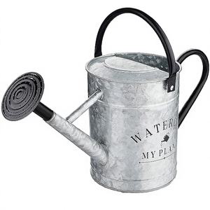 Regadera de Metal Galvanizado CAIXI de Estilo Clásico, 8L, Duradera y Ecológica, con Boquilla Extraíble para Plantas de Interior y Decoración de Jardín - Product Image 1