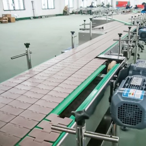 कम कीमत उच्च गुणवत्ता 820-k450 820-k600 प्लास्टिक सीधे फ्लैट टॉप चेन - Product Image 3