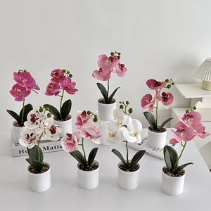 KX-01 bas prix vraie touche multicolore petite soie Fuax Phalaenopsis orchidées plante en Pot blanc fleur d'<span class=keywords><strong>orchidée</strong></span> artificielle en pot - Product Image 2