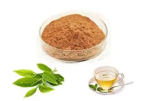 Poudre d'extrait de thé vert, polyphénols de thé 30%-98%, <span class=keywords><strong>soluble</strong></span> dans l'eau, poudre naturelle d'EGCG pour l'alimentation et les cosmétiques, approvisionnement en vrac pour les usines - Product Image 4